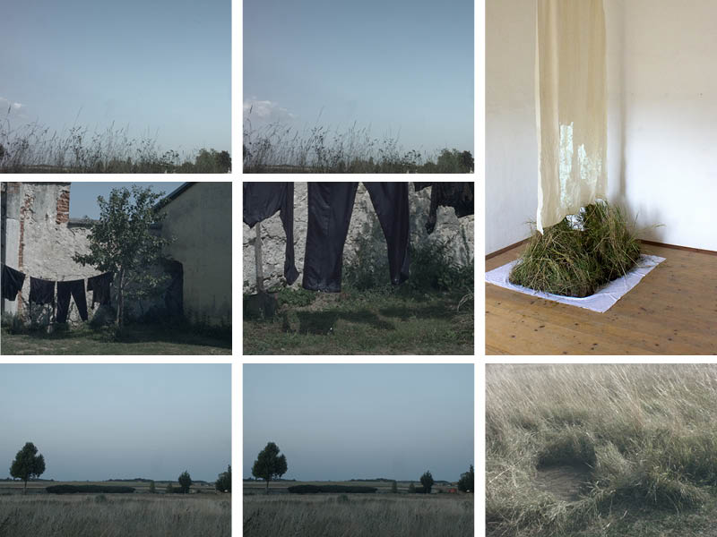 Landschaft/Landscape #3: Ausstellungsinstallation (Zu Stefan Zweig, Episode am Genfer See)